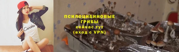 шишки Алексин