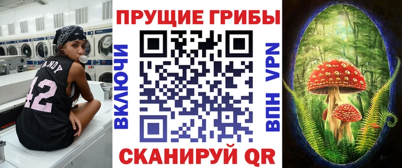 Псилоцибиновые грибы Psilocybe  Межгорье 