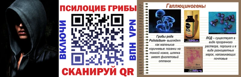 Галлюциногенные грибы MAGIC MUSHROOMS Межгорье